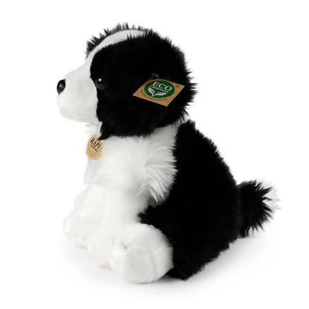 MASKOTKA PLUSZOWA PIES BORDER COLLIE REALISTYCZNY 30cm RAPPA ECO JAK ŻYWY