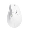 Trust Bayo II - Souris ergonomique sans fil (blanc)