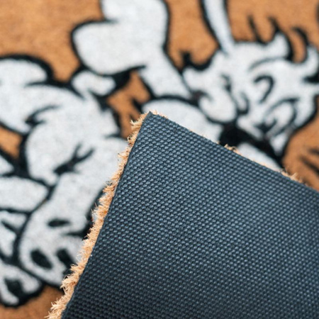 Astérix - Paillasson (40 x 60 cm)