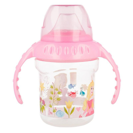 Princesse- Bouteille avec embout en silicone 250 ml
