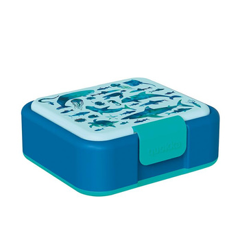 Quokka Twist Kids - Doppelwandige Lebensmittelbox/Lunchbox (Meerestiere)
