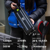 Green Cell - GC Silverfish battery for E-Bike with charger 36V 10.4Ah 374Wh Li-Ion XLR 3 PIN