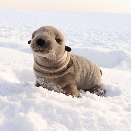 FURNACE PUSH MOUSE, Realistische Robbe, Seelöwe wie der Echte, ECO