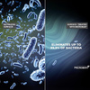 Cellularline Sensation Plus - iPhone 15 Pro tok MICROBAN bevonattal (fekete)