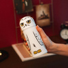 Harry Potter - 3D Hedwig Tube Pencil Case