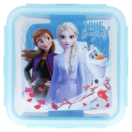 Frozen 2 - Lunchbox / airtight breakfast box 730ml