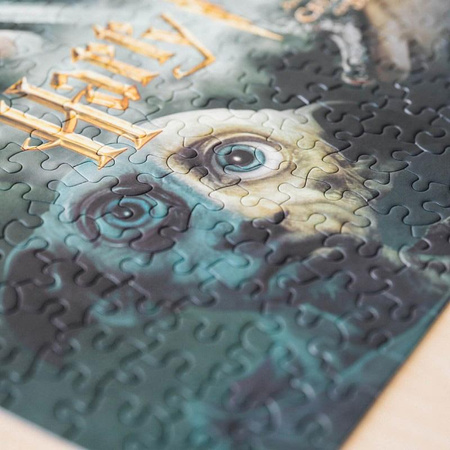 Harry Potter - Puzzle 500 prvků v dekorativní krabičce (Harry Potter a Tajemná komnata)