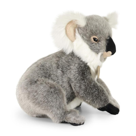Rappa - Mascotte realistica in peluche dell'orso Koala in piedi di 25 cm Eco-Friendly