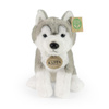 Rappa - Plush Realistic Sitting Husky Dog 23 cm Eco-Friendly Soft Collection