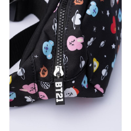 BT21 - Sachet / Boîtier de rein