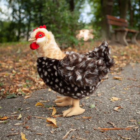 PLUS HEN MASCOT, with Egg, Realistic Hen, like the Real One, ECO