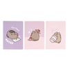 Pusheen - A5 Notizbuchset aus der Moments Kollektion 3tlg.