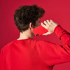PURO ICON Hülle - Etui iPhone Xs / X (rot)