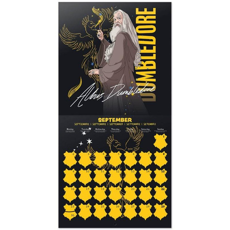 Harry Potter - Calendario da parete 2024 (30 x 30 cm)