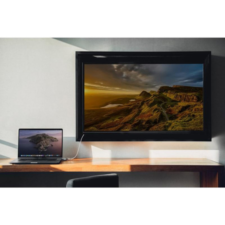 Moshi USB-C Adapter - Adapter for HDMI 4K and HDR with 60W Power Delivery charging support (Titanium Gray)