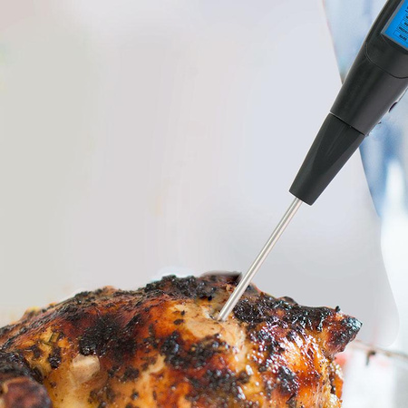 ELECTRONIC KITCHEN THERMOMETER FOR MEAT, Interchangeable Tips, Alpina